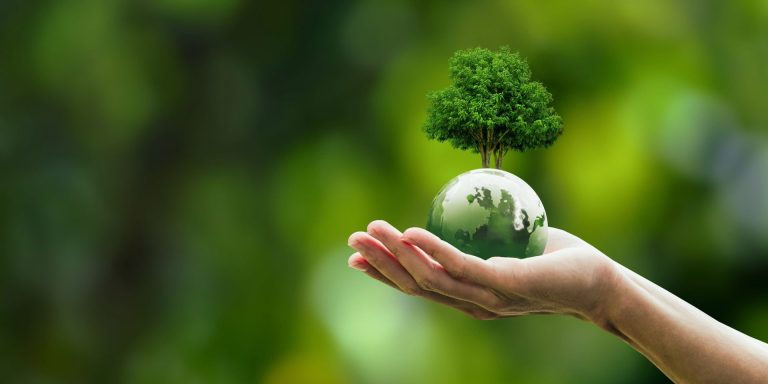 pratiques adopter pour réduire l’empreinte carbone