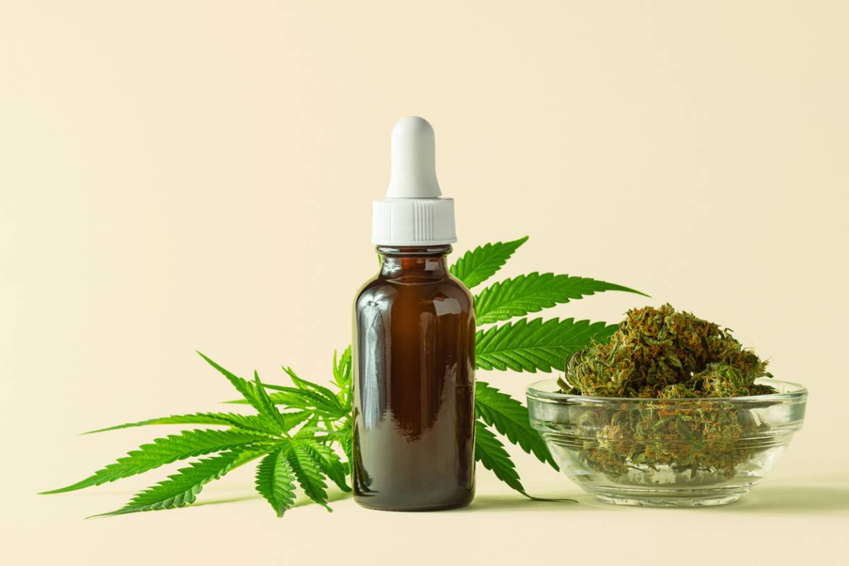 Fleurs, huiles, résines : quel format de CBD vous convient vraiment ?